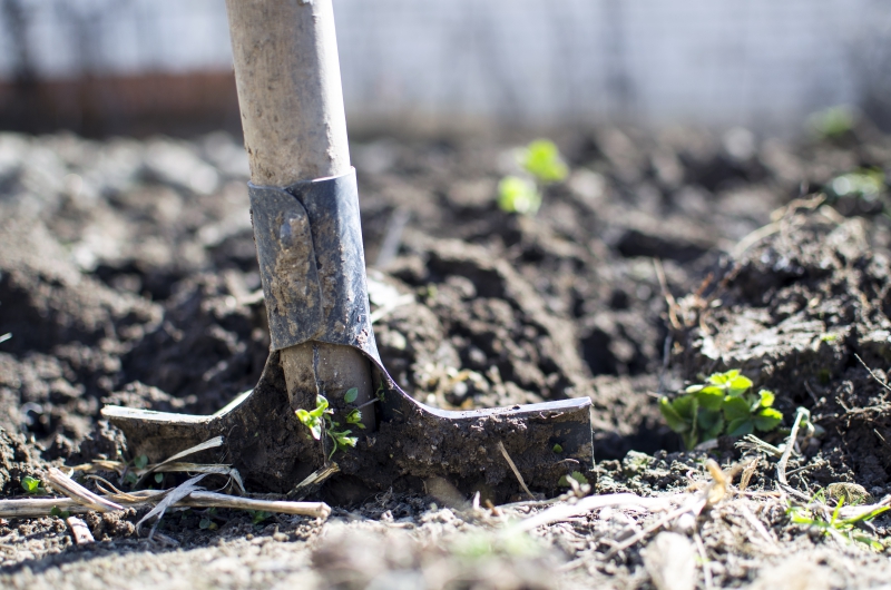 jardinerie-ARTIGNOSC SUR VERDON-min_equipment-2047314