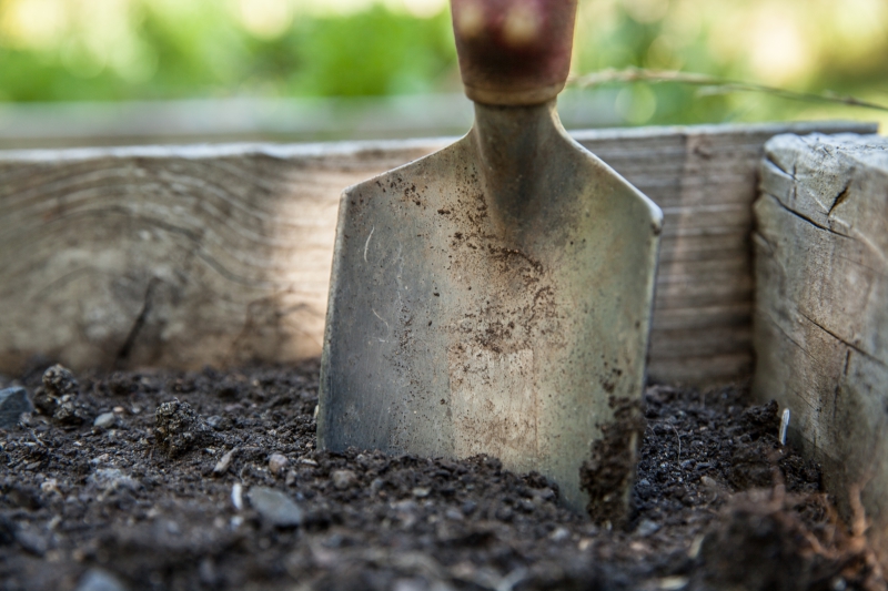 jardinerie-ARTIGNOSC SUR VERDON-min_garden-1176406